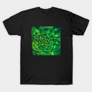 Echeveria Green Prince T-Shirt